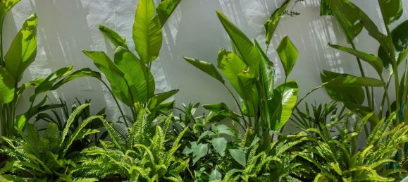 Casa T1 em Estepona, Spain N.º 184252 5