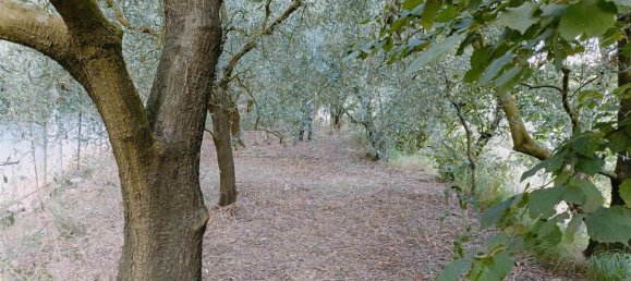 3 rooms Apartment in Salerno, Italy No. 274321 17