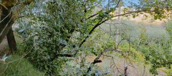 3 rooms Apartment in Salerno, Italy No. 274321 18