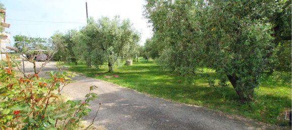 4 rooms Apartment in Montalto di Castro, Italy No. 104497 4