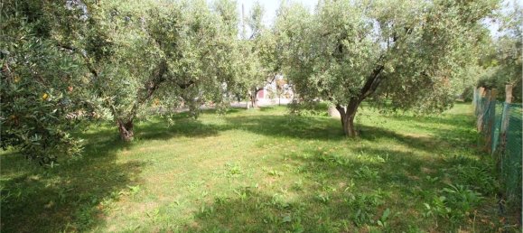 4 rooms Apartment in Montalto di Castro, Italy No. 104497 6