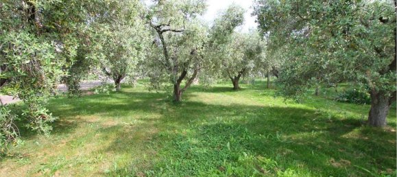 4 rooms Apartment in Montalto di Castro, Italy No. 104497 5