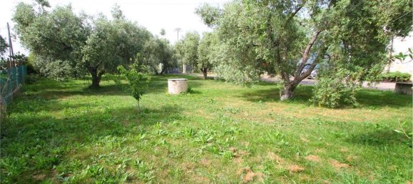 4 rooms Apartment in Montalto di Castro, Italy No. 104497 7