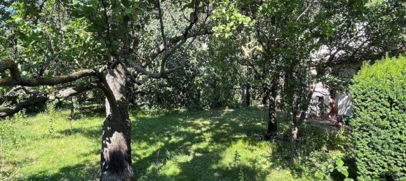 Terrain à Liesing, Austria No. 261201 10