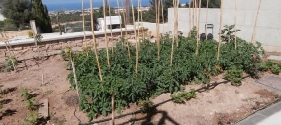 7 bedrooms Villa in Mesa Chorio, Cyprus No. 21724 5