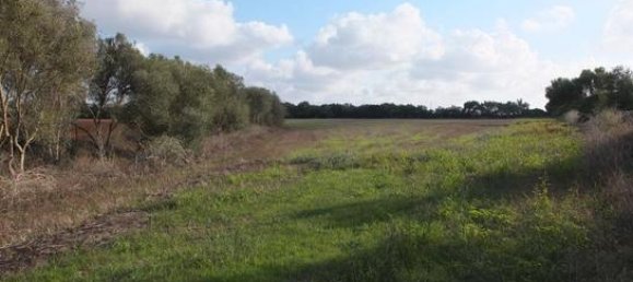 Terrain à Palma de Majorca, Spain 360000m² No. 157381 5