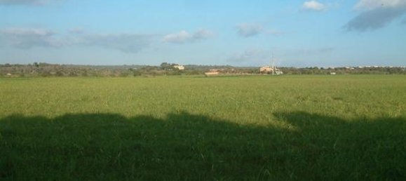 Terrain à Palma de Majorca, Spain 360000m² No. 157381 6