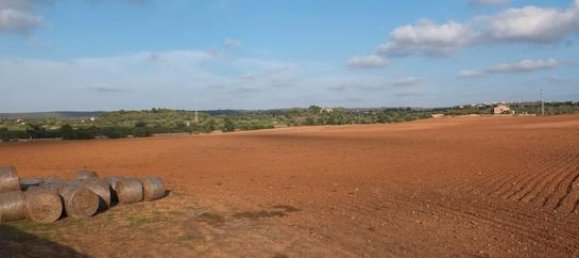 Terrain à Palma de Majorca, Spain 360000m² No. 157381 8