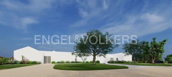 26000m² Land in Grandola, Portugal No. 100913 4