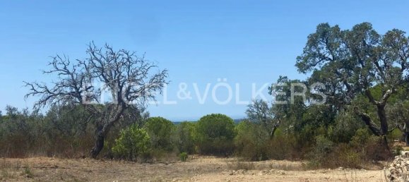 26000m² Land in Grandola, Portugal No. 100913 13