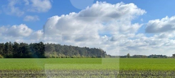  Land in Diepholz, Germany No. 195180 3