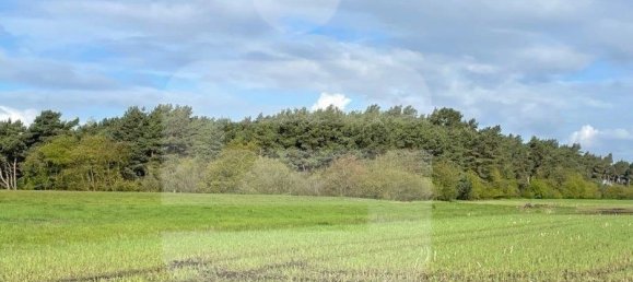  Land in Diepholz, Germany No. 195180 2