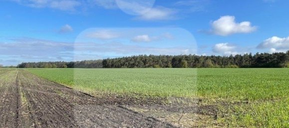  Land in Diepholz, Germany No. 195180 4