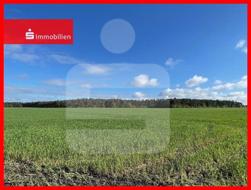  Land in Diepholz, Germany No. 195180