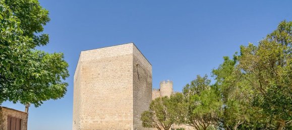 1 bedroom House in Valladolid, Spain No. 113002 24