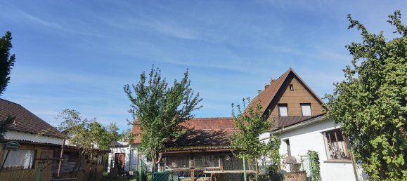 6 rooms House in Pfaffenhofen an der Ilm, Germany No. 333811 6