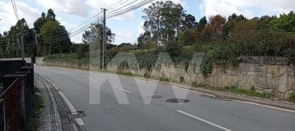 7 bedrooms House in Oliveira de Azemeis, Portugal No. 91896 4