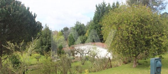 7 bedrooms House in Oliveira de Azemeis, Portugal No. 91896 17