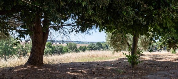 6 غرف نوم فيلا في Montalto di Castro, Italy رقم 119658 27