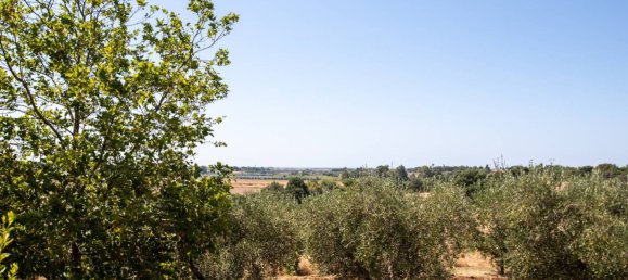 6 غرف نوم فيلا في Montalto di Castro, Italy رقم 119658 7
