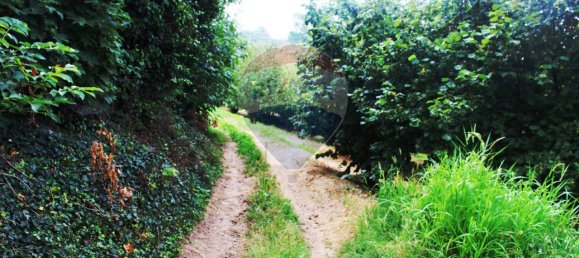 5-Zimmer Haus in Cossano Belbo, Italy, Nr. 151014 6