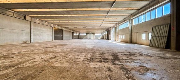 1 room Warehouse in Offlaga, Italy No. 52694 7