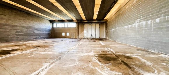 1 room Warehouse in Offlaga, Italy No. 52694 11