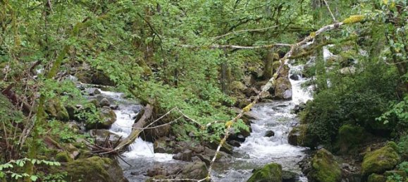 8 rooms House in Tornolo, Italy No. 254244 21