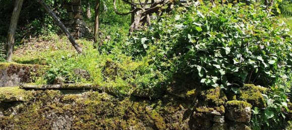 8 rooms House in Tornolo, Italy No. 254244 12