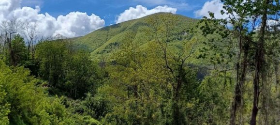 8 rooms House in Tornolo, Italy No. 254244 14