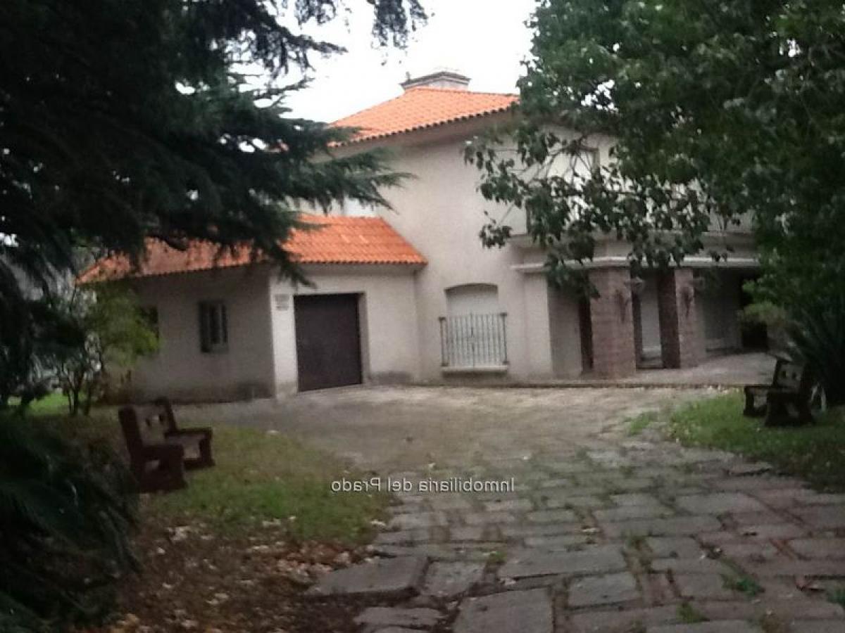 5 bedrooms House in Montevideo, Uruguay No. 6981