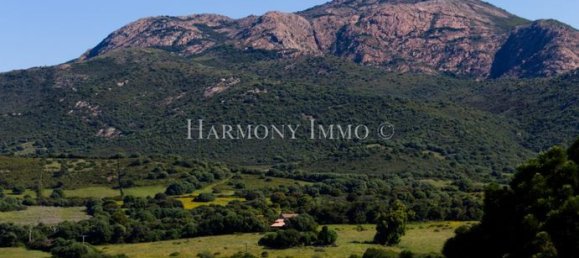 1 bedroom Apartment in Ajaccio, France No. 303156 7