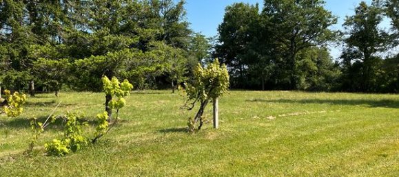 2 Schlafzimmer Haus in Vienne, France, Nr. 314419 4