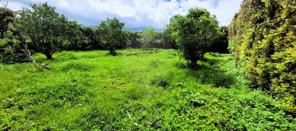 6 bedrooms House in Ribeira Grande, Portugal No. 164734 20