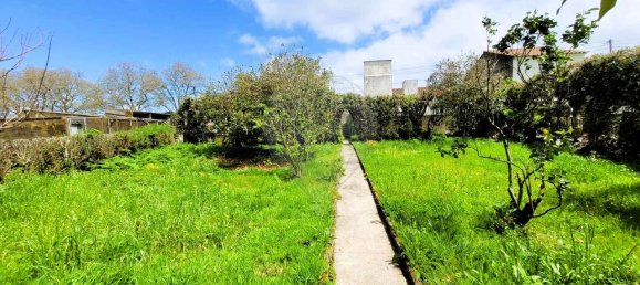 6 bedrooms House in Ribeira Grande, Portugal No. 164734 9