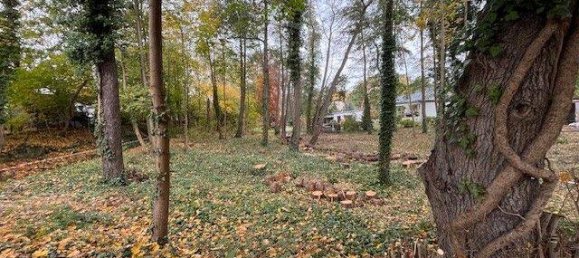 Terreno en Dahme-Spreewald, Germany No. 268471 7