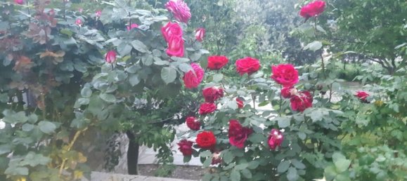 6 bedrooms Villa in Thessaloniki, Greece No. 8330 8