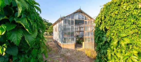 7 غرف نوم منزل في Paredes, Portugal رقم 43712 41