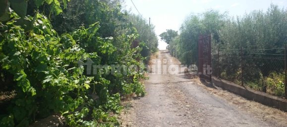 7000m² Land in Santa Maria di Licodia, Italy No. 251260 3