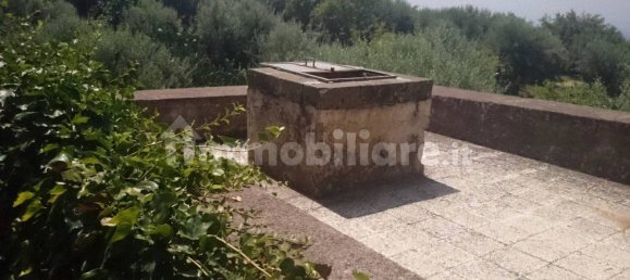 7000m² Land in Santa Maria di Licodia, Italy No. 251260 8