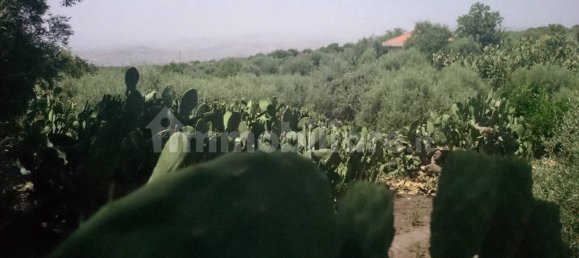 7000m² Land in Santa Maria di Licodia, Italy No. 251260 9