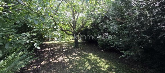 5 Schlafzimmer Haus in Meuse, France, Nr. 300491 4