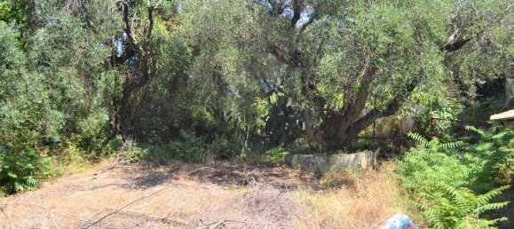 289m² Commercial property in Corfu, Greece No. 6069 29