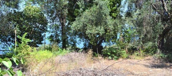 289m² Commercial property in Corfu, Greece No. 6069 30