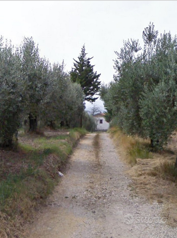 40000m² Land in Sant'Agata de' Goti, Italy No. 292218
