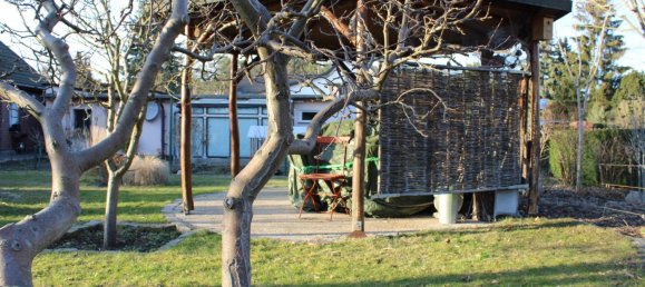 1 bedroom House in Brandenburg, Germany No. 46955 3