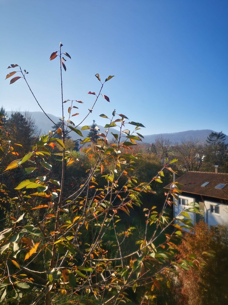 4 bedrooms Townhouse in Esslingen, Germany No. 116997