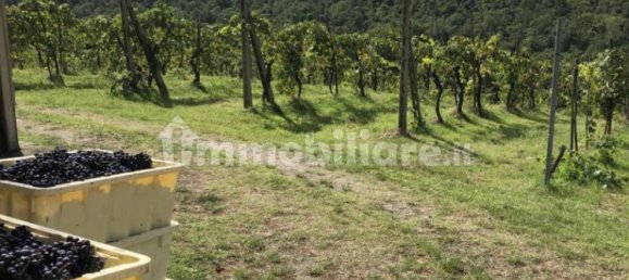 Casa T4 em Sinalunga, Italy N.º 282073 48