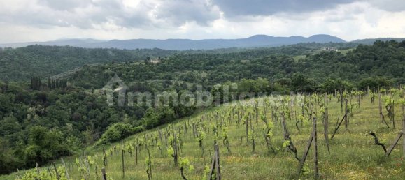 Casa T4 em Sinalunga, Italy N.º 282073 4