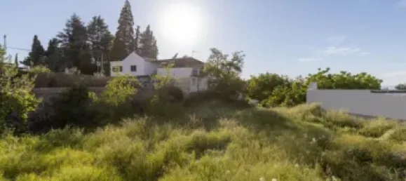  قطعة أرض في Granada, Spain رقم 181253 4